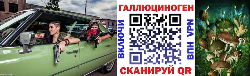 блэк спрут как зайти  Саранск  Галлюциногенные грибы Cubensis 